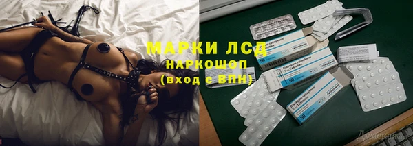 ПСИЛОЦИБИНОВЫЕ ГРИБЫ Арсеньев