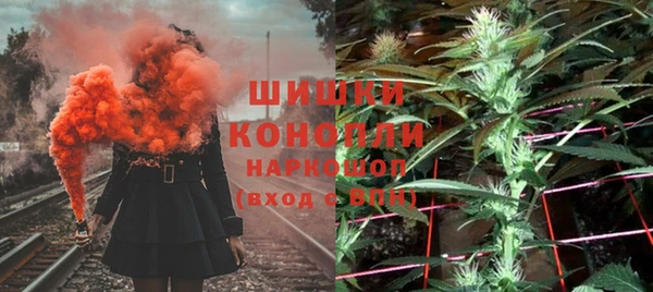 ПСИЛОЦИБИНОВЫЕ ГРИБЫ Арсеньев